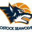 ROSTOCK SEAWOLVES Team Logo