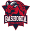 SASKI BASKONIA Team Logo