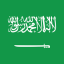 SAUDI ARABIA Team Logo