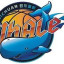 SICHUAN BLUE WHALES Team Logo