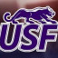 SIOUX FALLS Team Logo