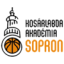 SOPRONI SPORTISKOLA Team Logo