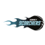 SURREY SCORCHERS Team Logo