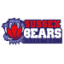 SUSSEX BEARS Team Logo