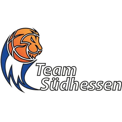 TEAM SUDHENSSEN Logo