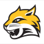 WAYNE STATE NE Team Logo