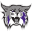 WEBER STATE Team Logo