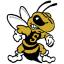 WEST VIRGINIA STATE Team Logo