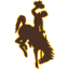 WYOMING Team Logo