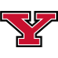 YOUNGSTOWN STATE Team Logo