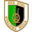 ZKS STAL Team Logo