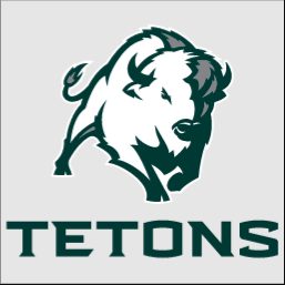 Williston State Logo