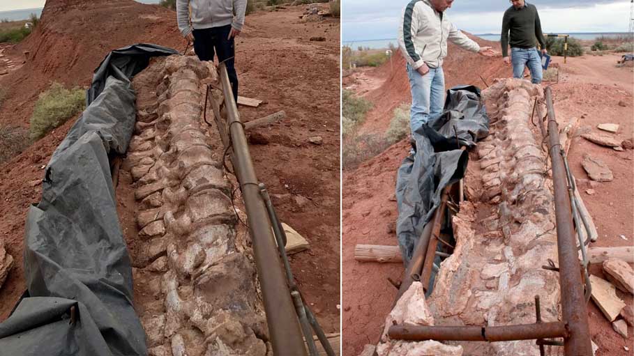 New Patagonian Dinosaur May Be Largest Ever Identified : Scientists