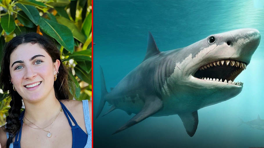Australia Teen Jumped in River to Swim with Dolphins, Was Killed by Shark