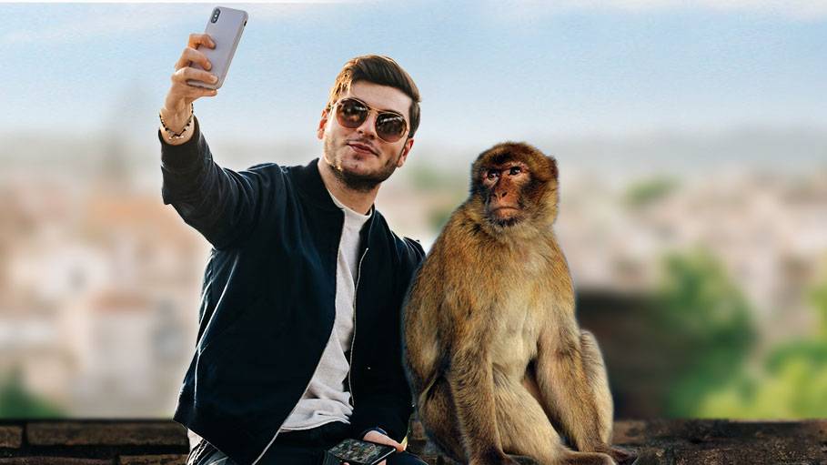Man Falls into 500-Feet Gorge while Taking Selfie with Monkeys