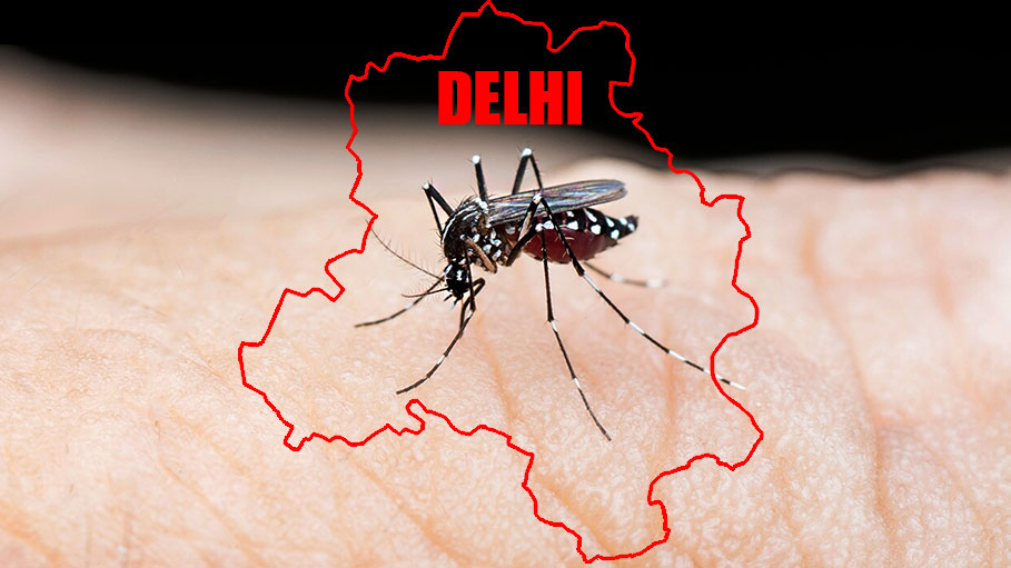 Dengue Cases Rise in Delhi, 272 Infections Reported in 1 Week