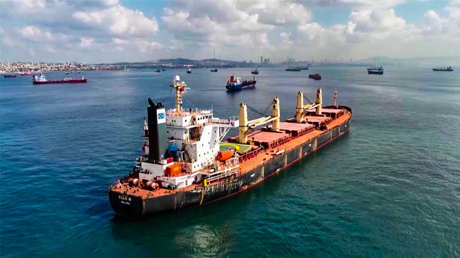 6 Grain Ships Leave Ukraine Ports after Russia Rejoins Deal