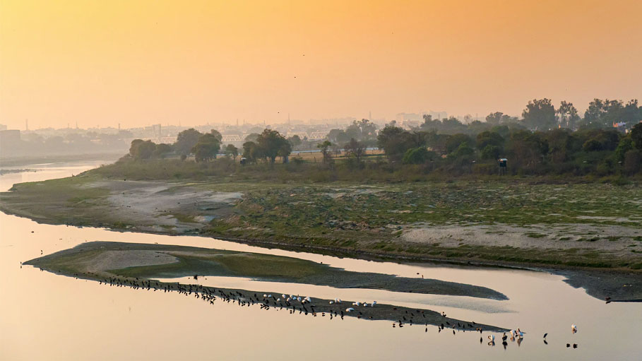 High Ammonia Content In Yamuna River to Affect Water Supply In Parts of Delhi