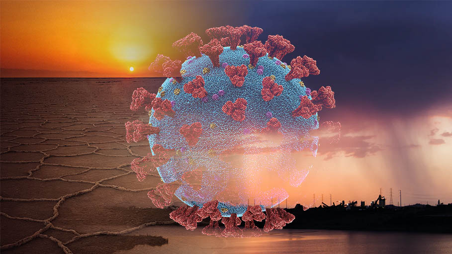 Climate Change May Have Had "Key Role" in Covid Pandemic