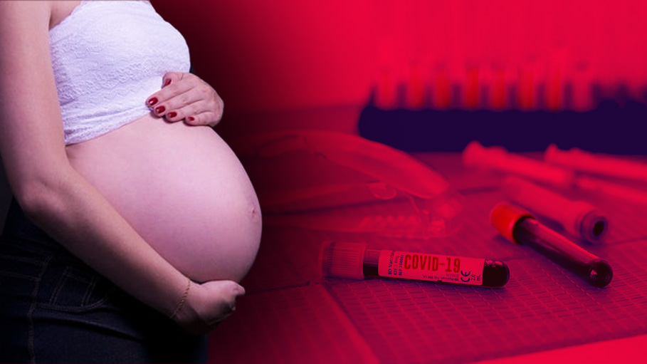 Not Mandatory for Every Pregnant Woman to Undergo Coronavirus Test: Delhi Govt to HC