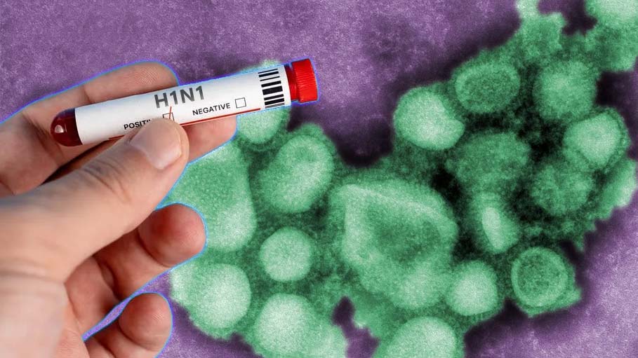 62 Swine Flu Cases, 2 Deaths Reported in Districts Near Mumbai