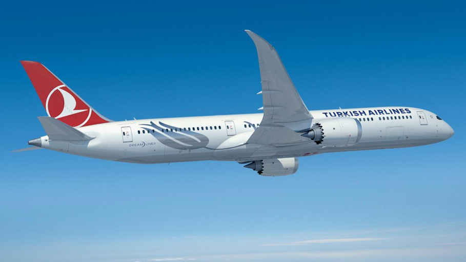 Plane Makes Emergency Landing  after Intoxicated Passenger Bites Flight Crew’s Finger