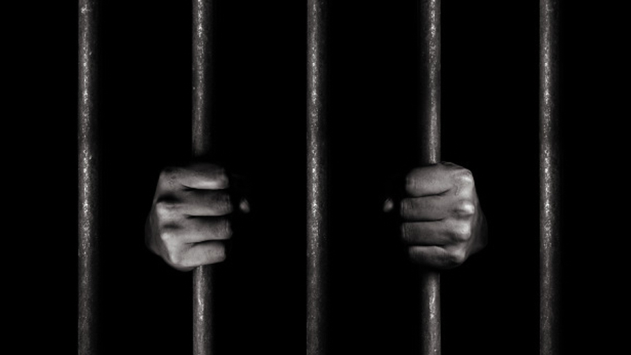 Poacher Who Ate Bear Genitals, Arrested by MP Forest Dept.