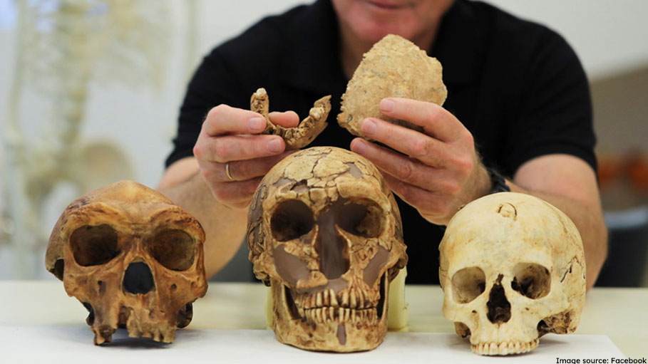 "Nesher Ramla Homo": New Type of Early Human Bones Found in Israel