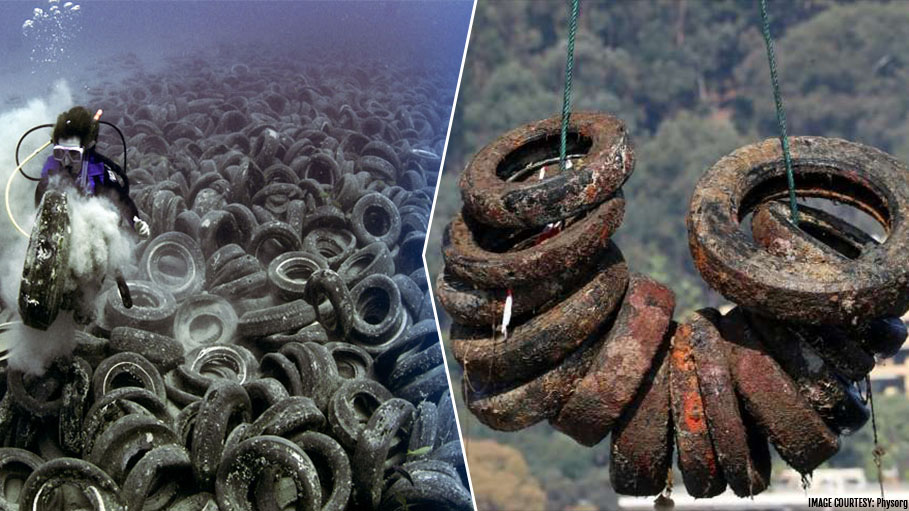 France is Removing 10,000 Old Tyres from Sea Floor