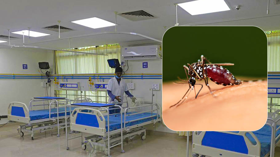 As Dengue Cases Rise, Delhi Hospitals are Told to Reserve Beds