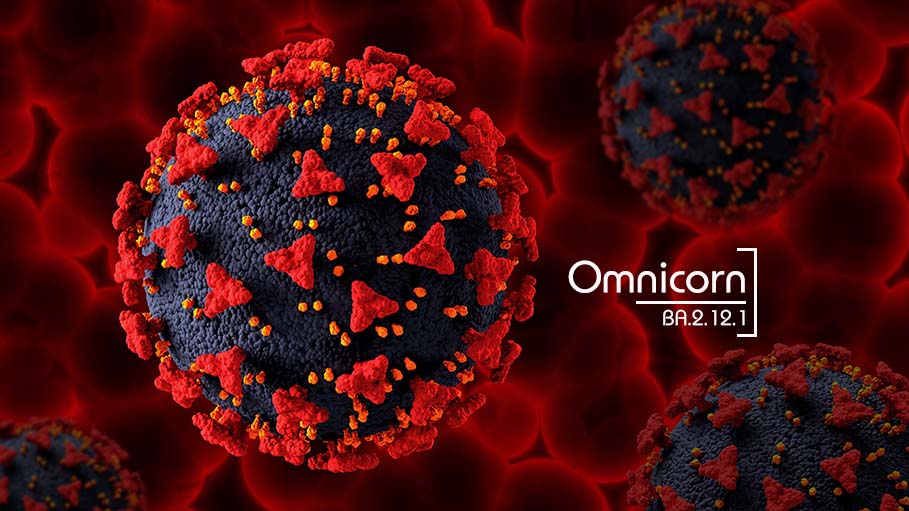 Expert Says New Omicron Sub Variant: 'Immunity Wanes and BA.2.12.1 is Evasive!'
