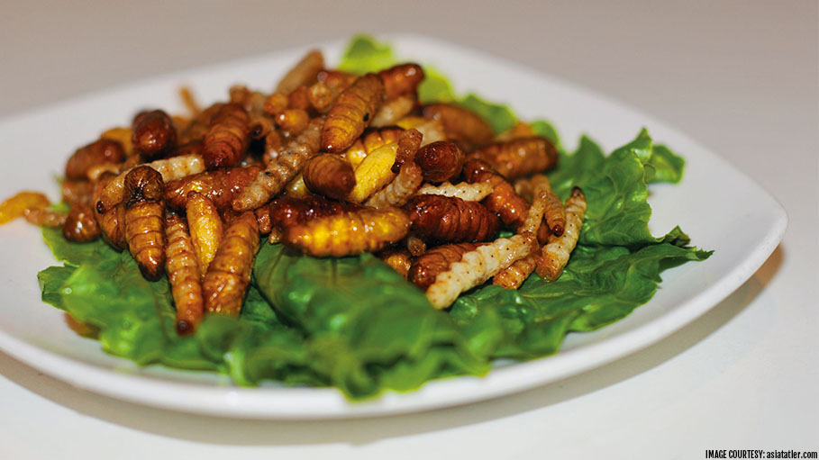 Meal with Mealworms, Hong Kong Introduces Its First Meal with Worms