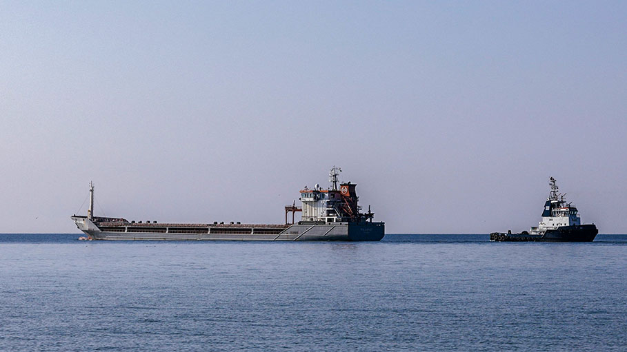 4 Cargo Ships Sail from Ukraine as New Strike Hits Nuclear Site