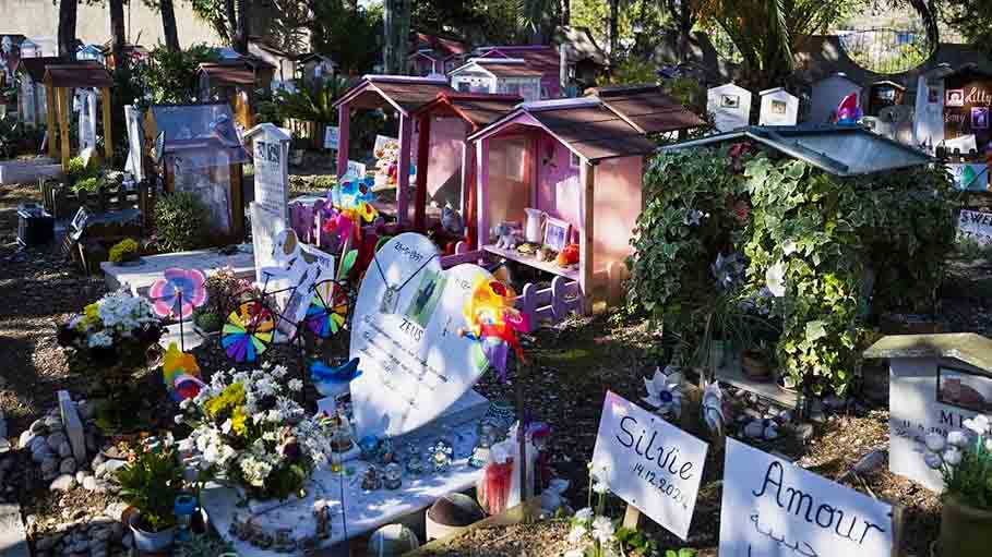 Mussolini's Pet Hen Rests at Italy's Oldest Pet Cemetery