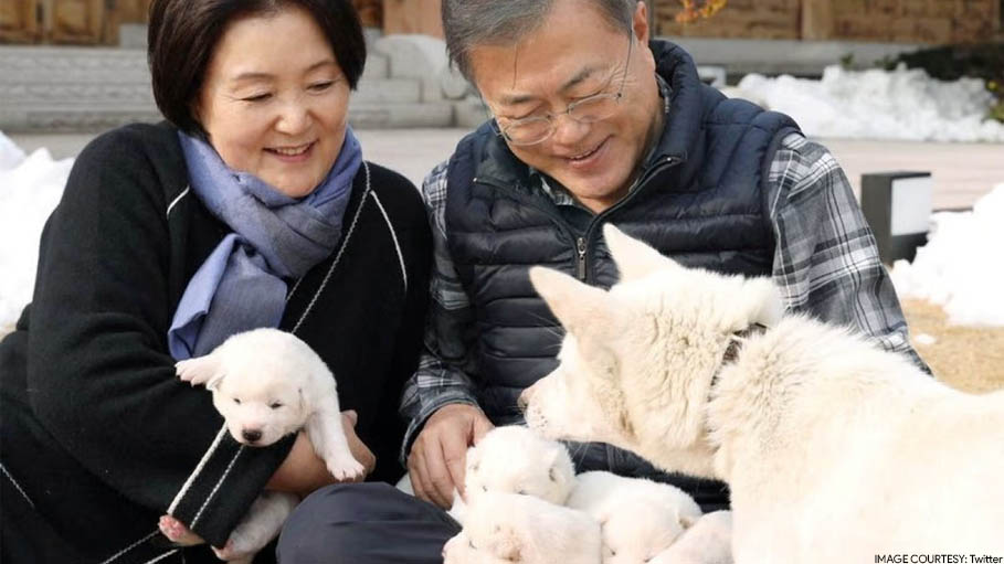 Ex-South Korea President Plans to Give up Dogs Gifted by North Korean Leader