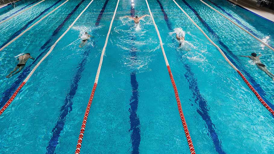 Australia's Swimming Championship Goes 'Virtual', How It Will Be Held