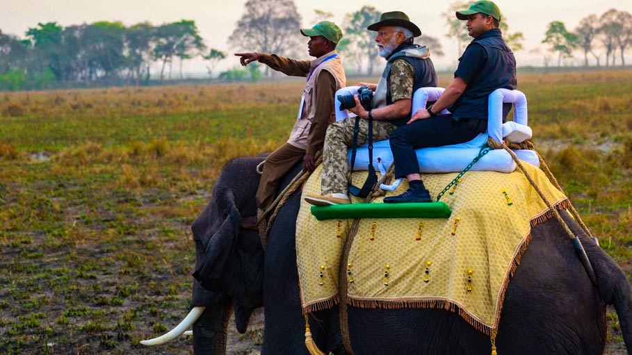 PM Modi Goes on Elephant Safari at Assam's Kaziranga National Park