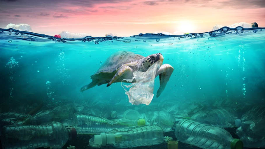 Rise in Ocean Plastic Pollution 'Unprecedented' Since 2005