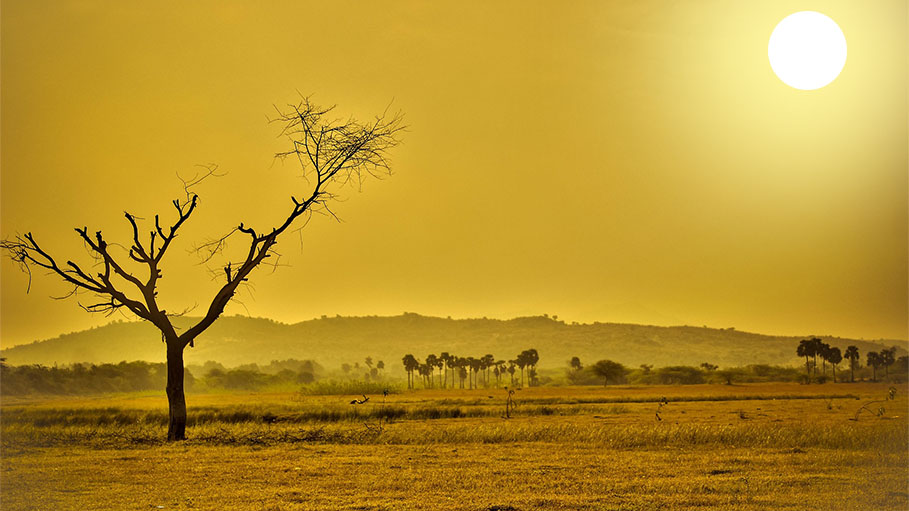 Last 7 Years on track to be Hottest Years on Record