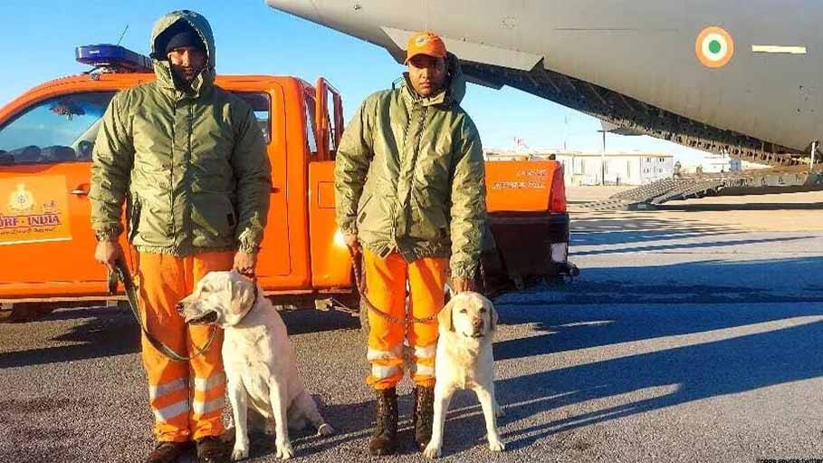 Meet India's Dog Squad That Rescued Girl, 6, from Rubble: Turkey-Syria Earthquake