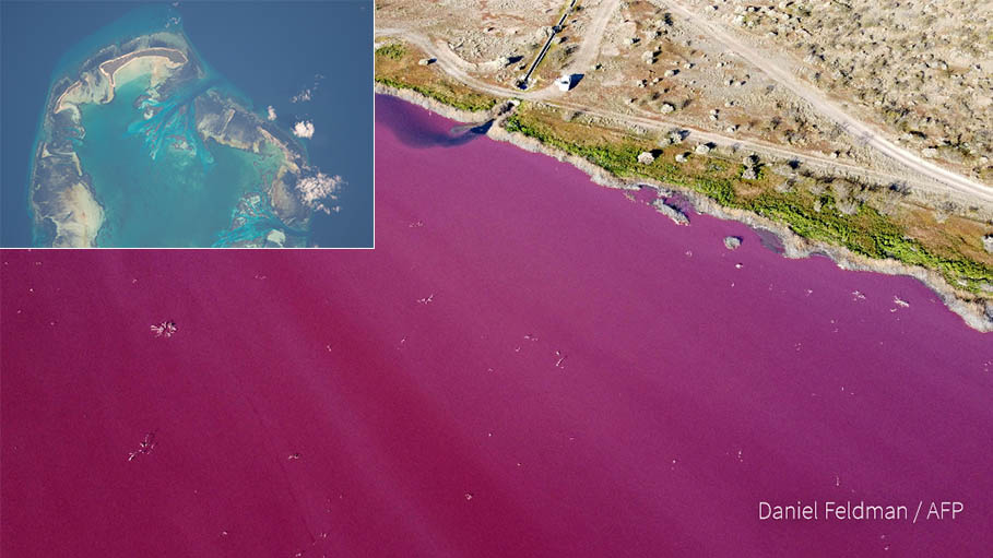 Argentina: Pollution Turns Lagoon Bright Pink
