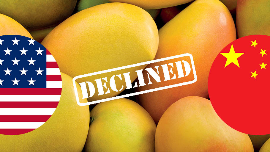US, China & Other Countries Decline Pakistan's "Mango Diplomacy", Send Back Fruit Souvenirs