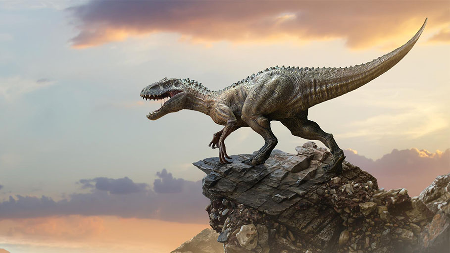 Remains of Four Dinosaur Species Found in Chile for First Time