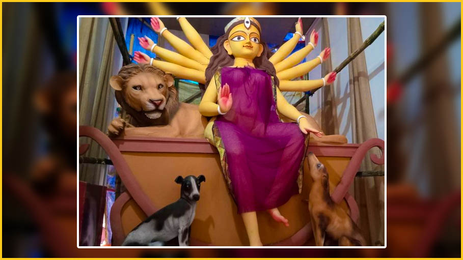 Kolkata’s 1st ‘Pet-Friendly’ Durga Puja Pandal Winning Hearts; Vatican City theme for Sreebhumi