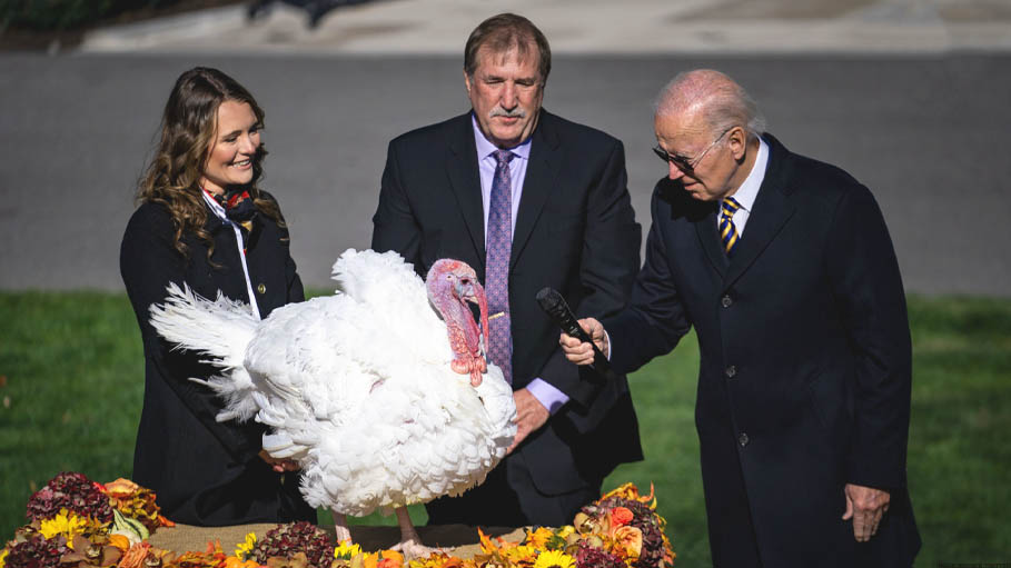 Biden Pardons Turkeys 'Chocolate' and 'Chip' for Thanksgiving