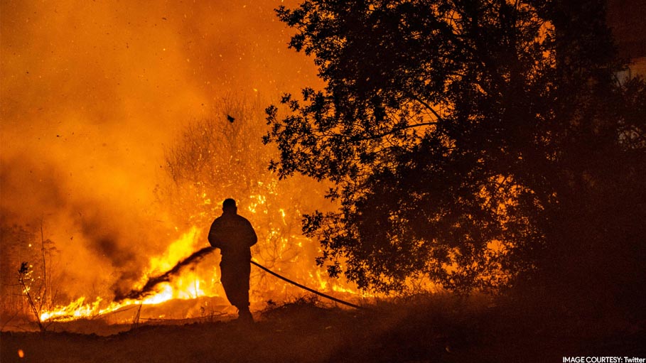 Four Dead in Cyprus' Worst Forest Fire in 10 Years