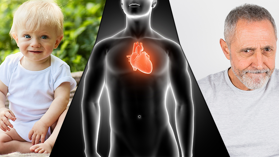 Aging Can Welcome Problems in the Metabolism of the Body: Find out What to Do