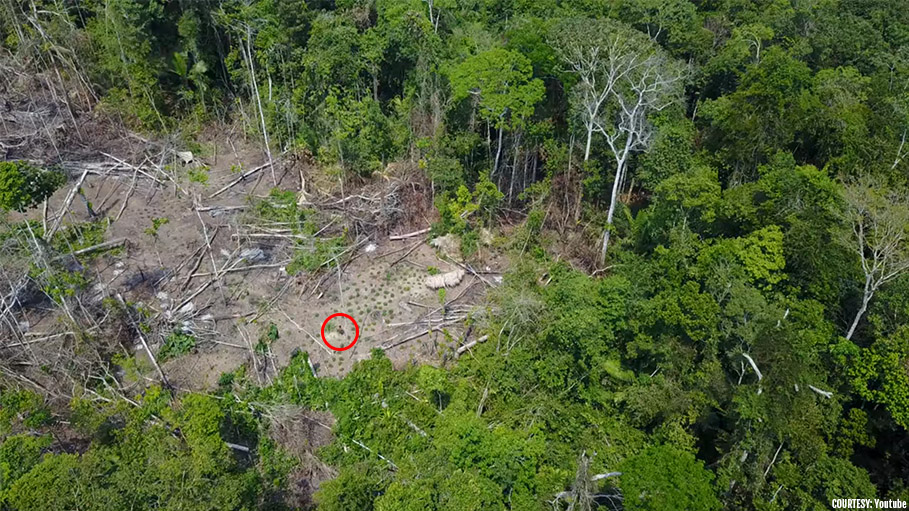 Drone Footage Shows Unidentified Tribes in Javary River Valley