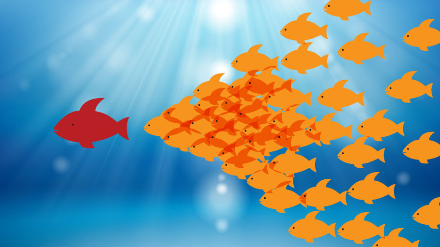 You Can Be BORN an Entrepreneur, But Leaders are MADE