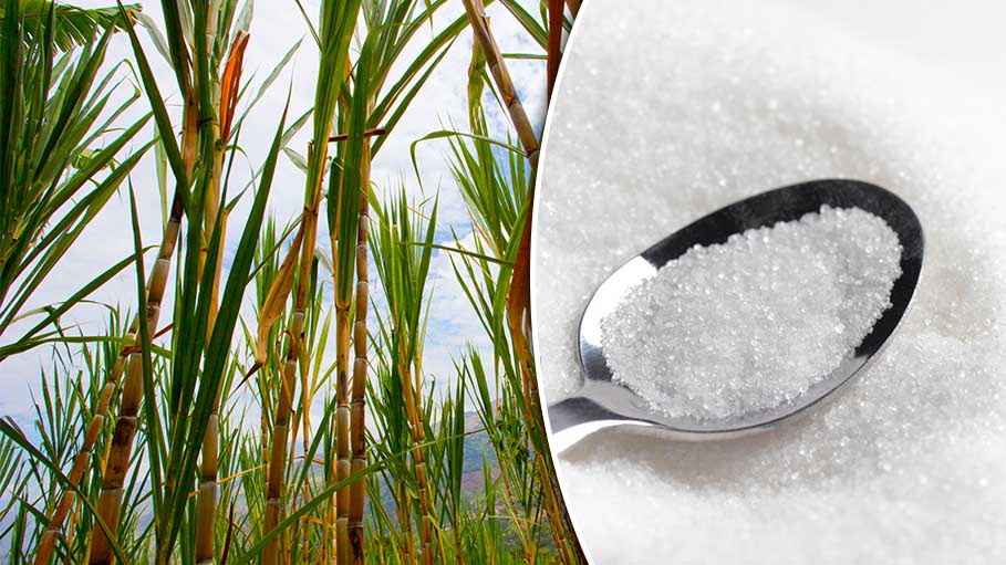 India: World’s Largest Consumer of Sugar Wants to Boost Domestic Demand